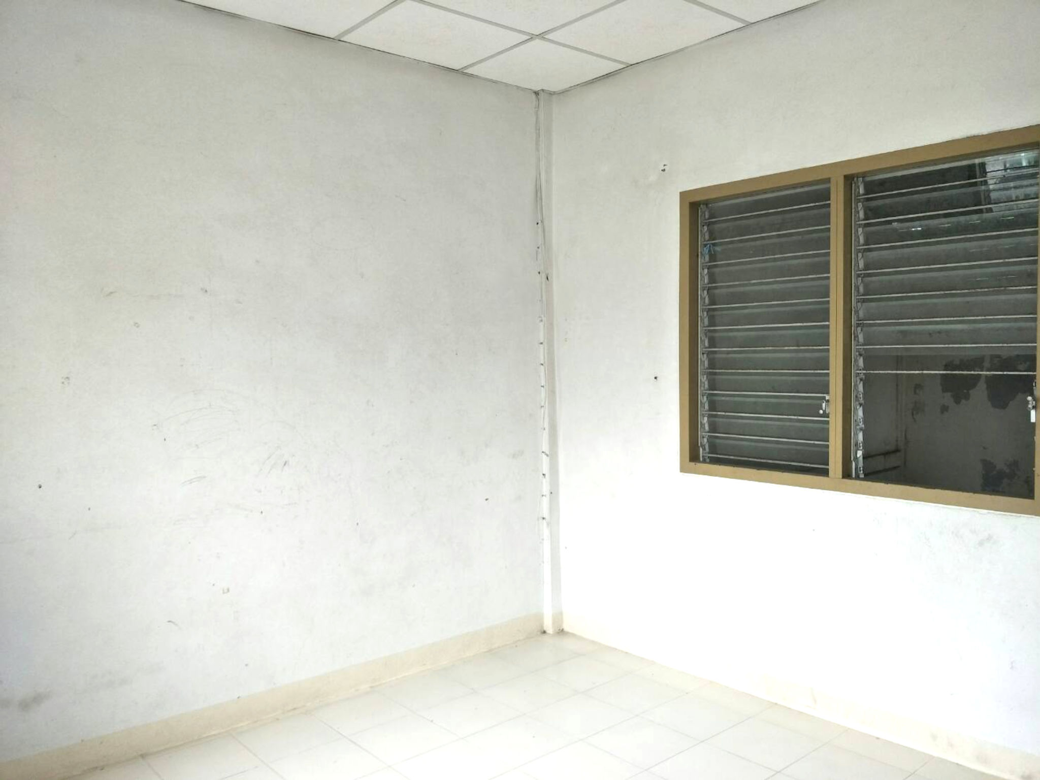 image - 2025-08-29T011933.309.png