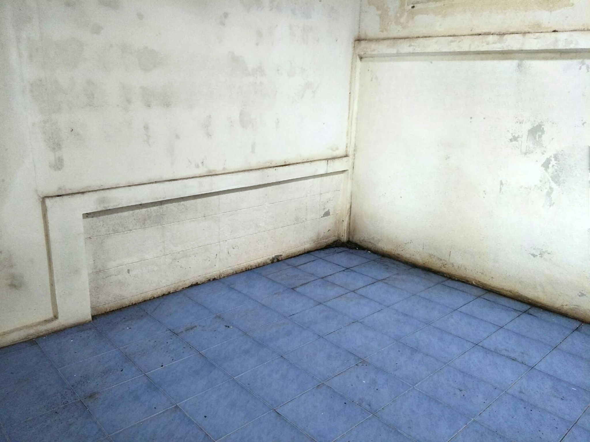 image - 2025-08-29T011931.143.png
