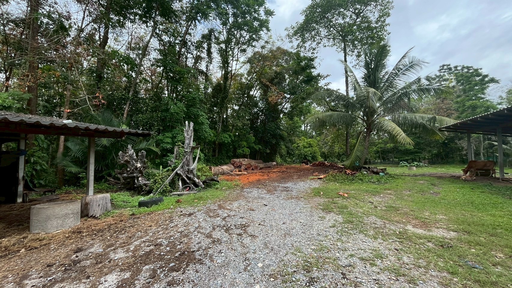 imgi_9_8241f045-146890-5.jpg