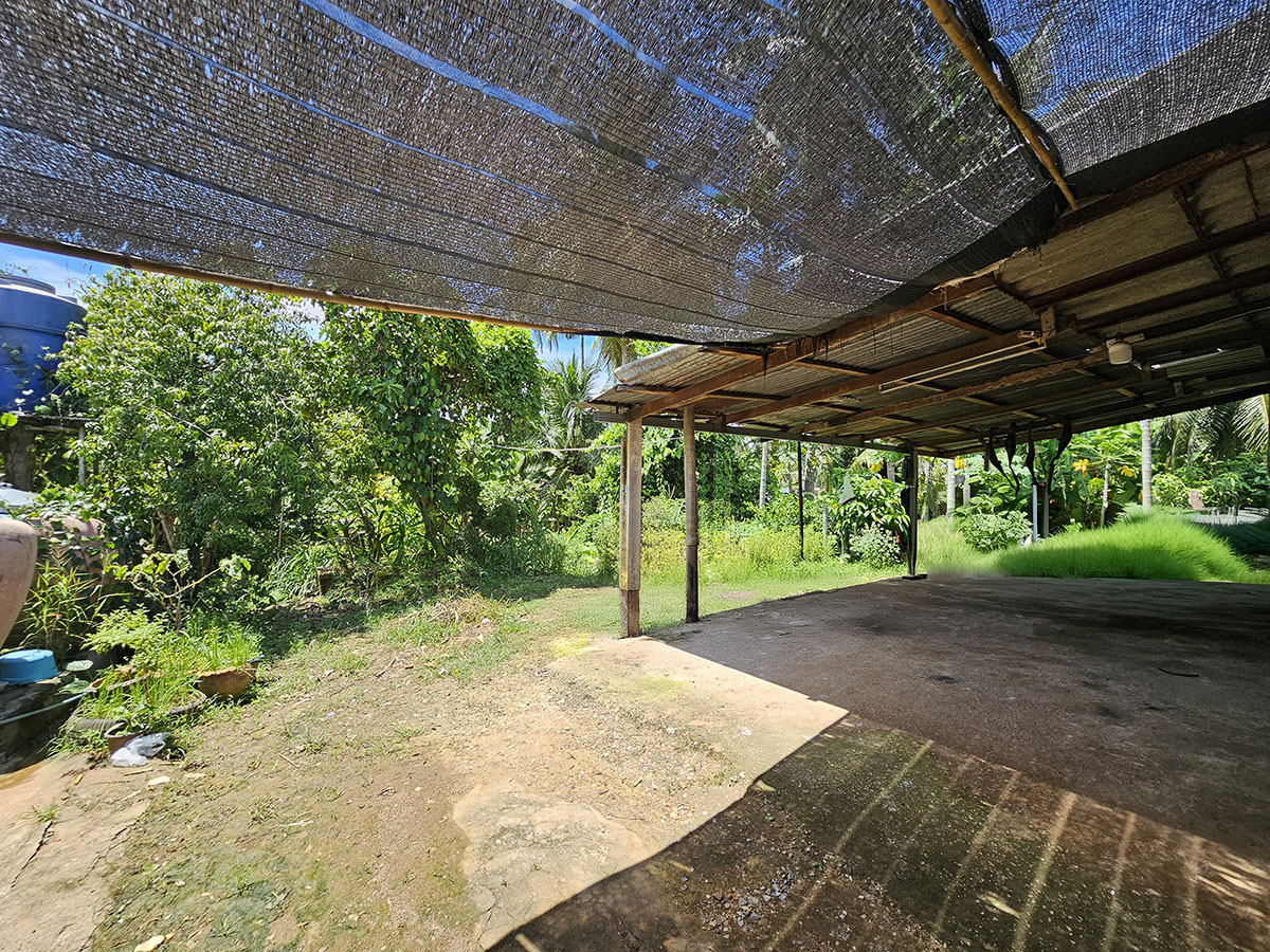 d6a96024-145851-3.jpg