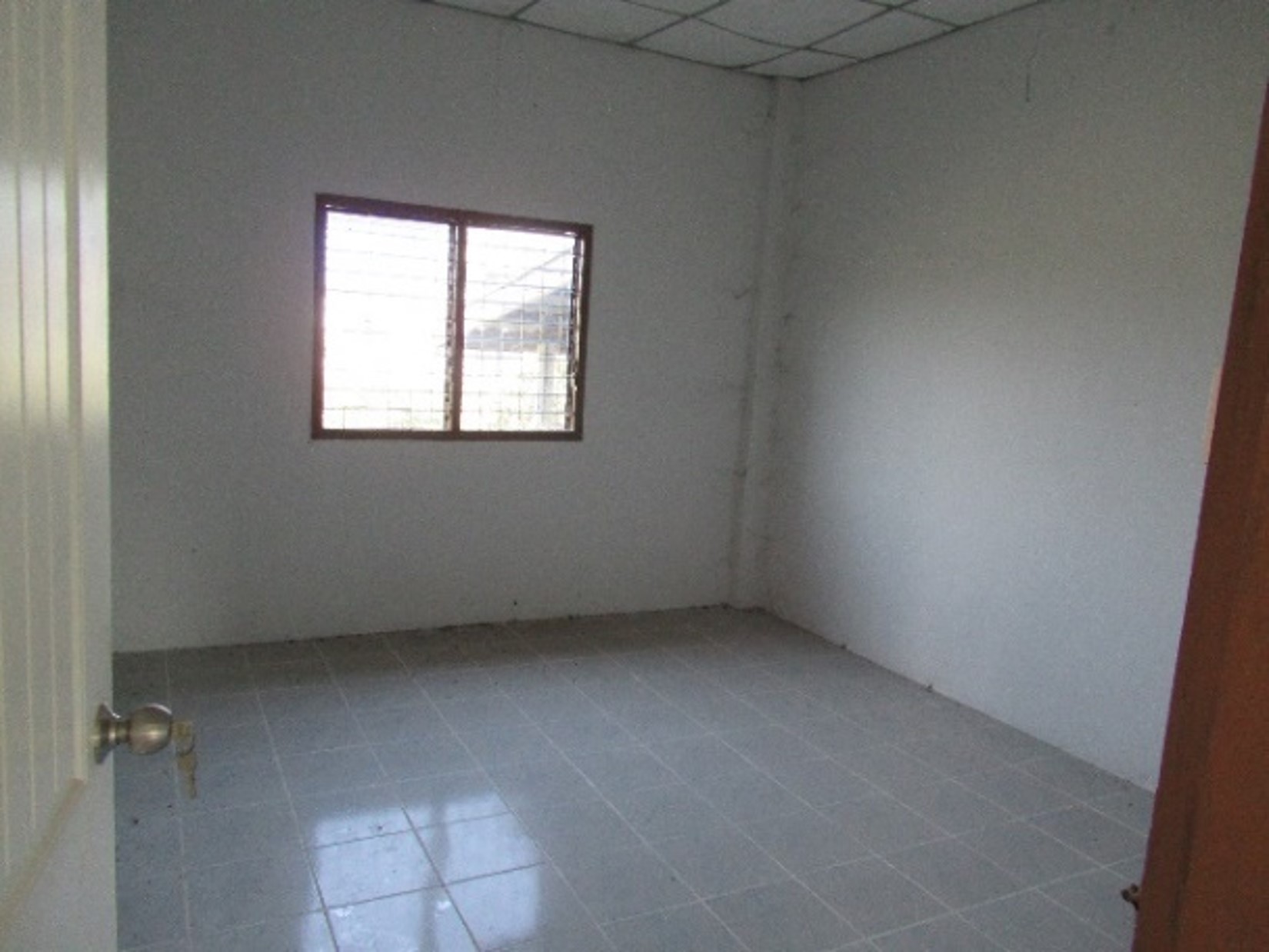 Picture14.jpg
