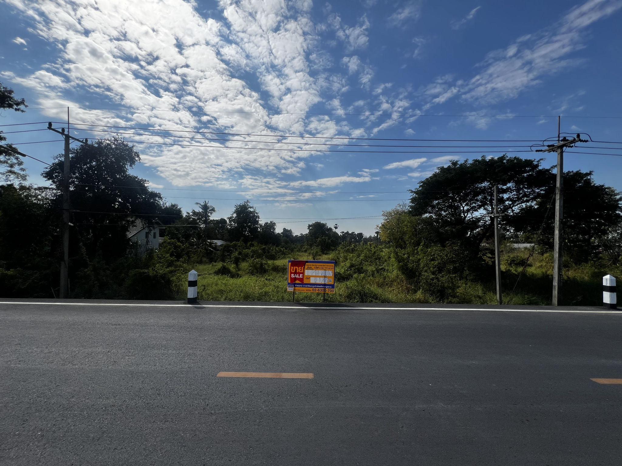ที่ดิน สวนพริกไทย เมืองปทุมธานี ปทุมธานี