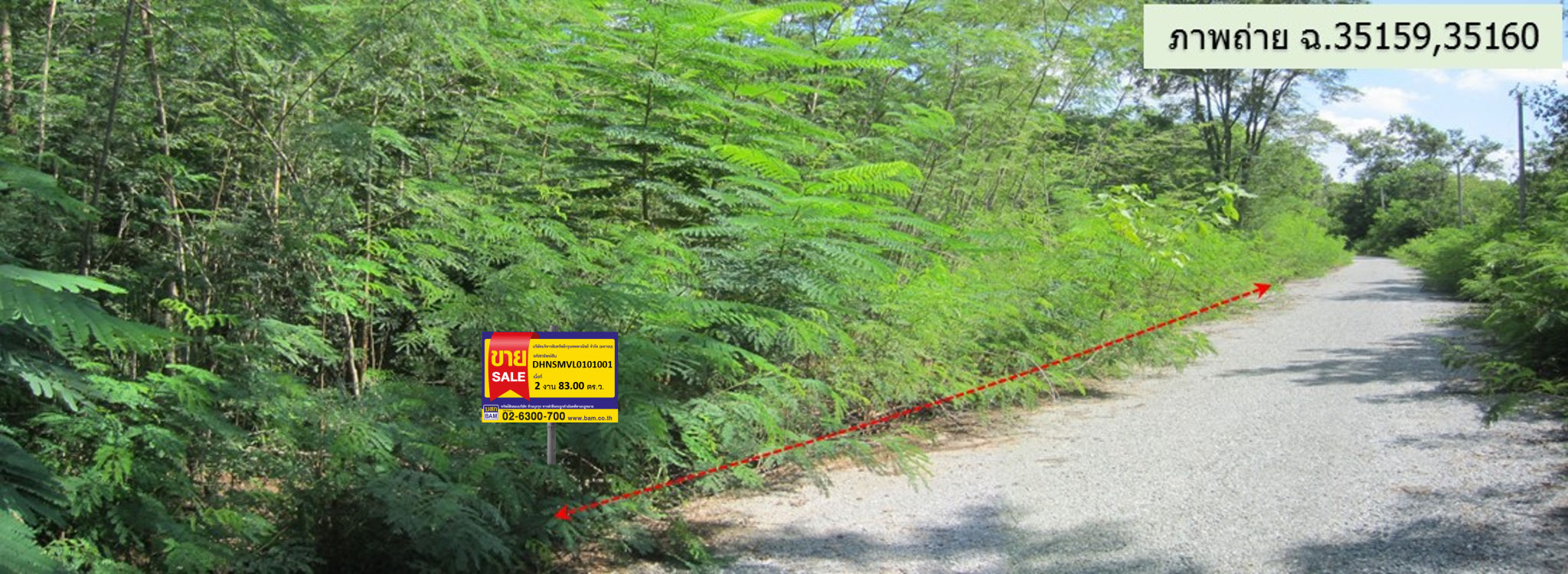ที่ดิน -  นครราชสีมา