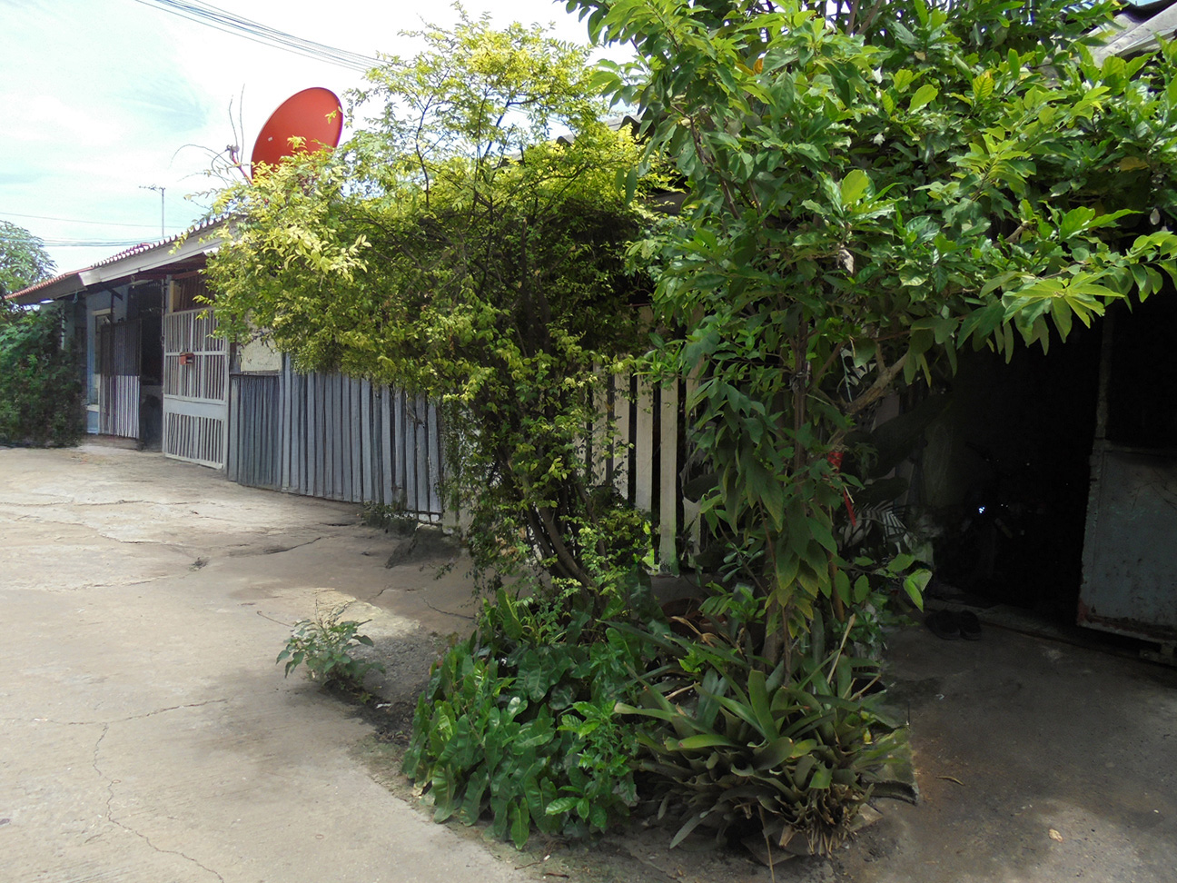 606ea566-DSC00756.jpg