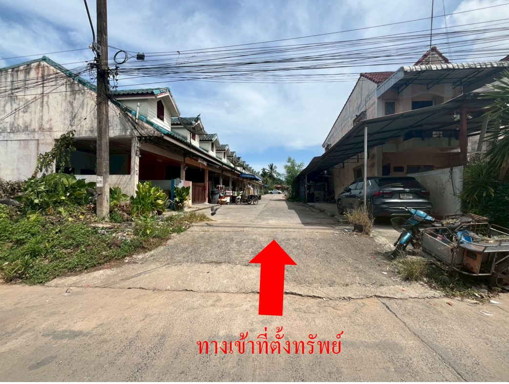 Picture1.jpg