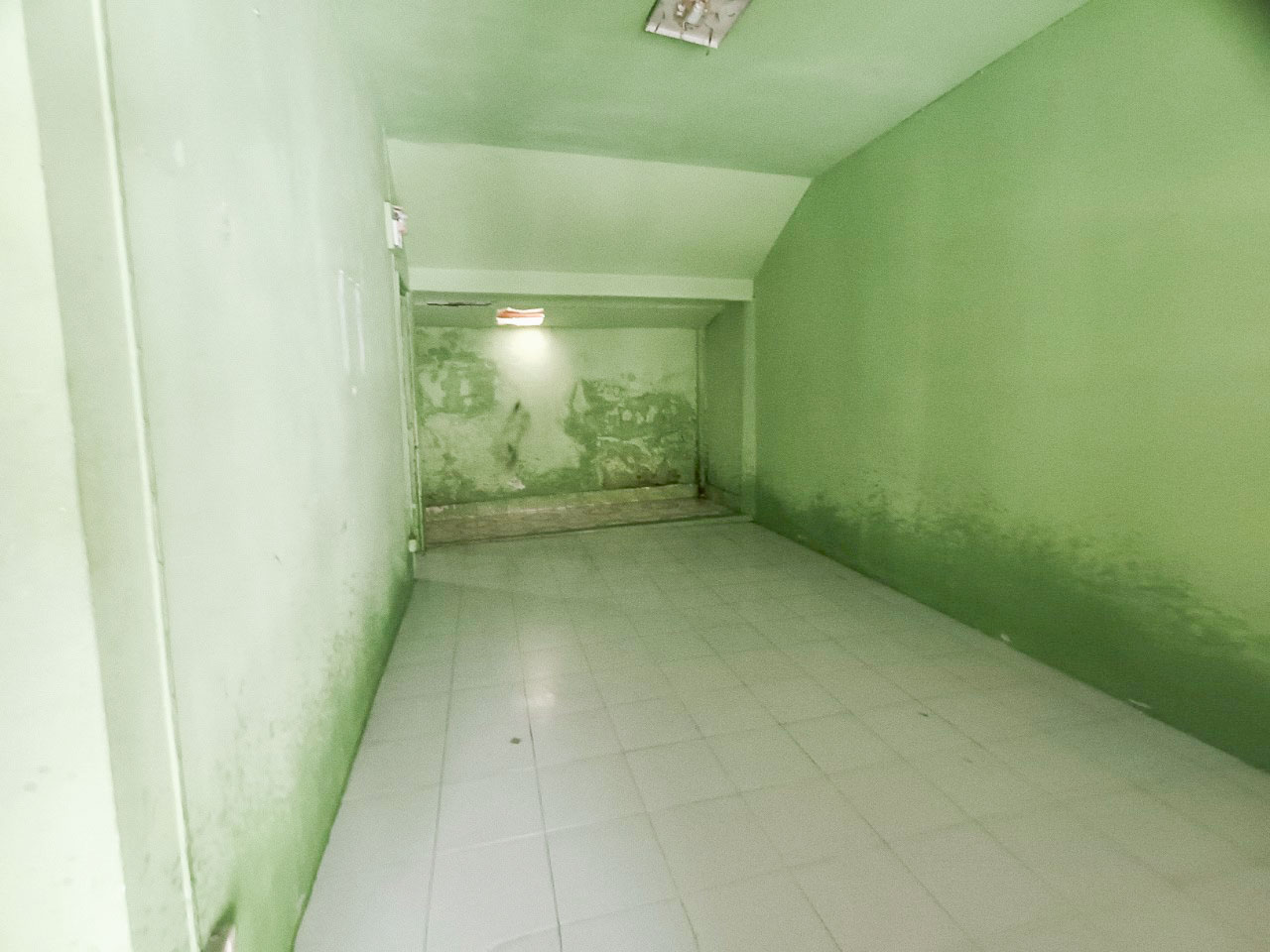 8b68115d-138471-2.jpg