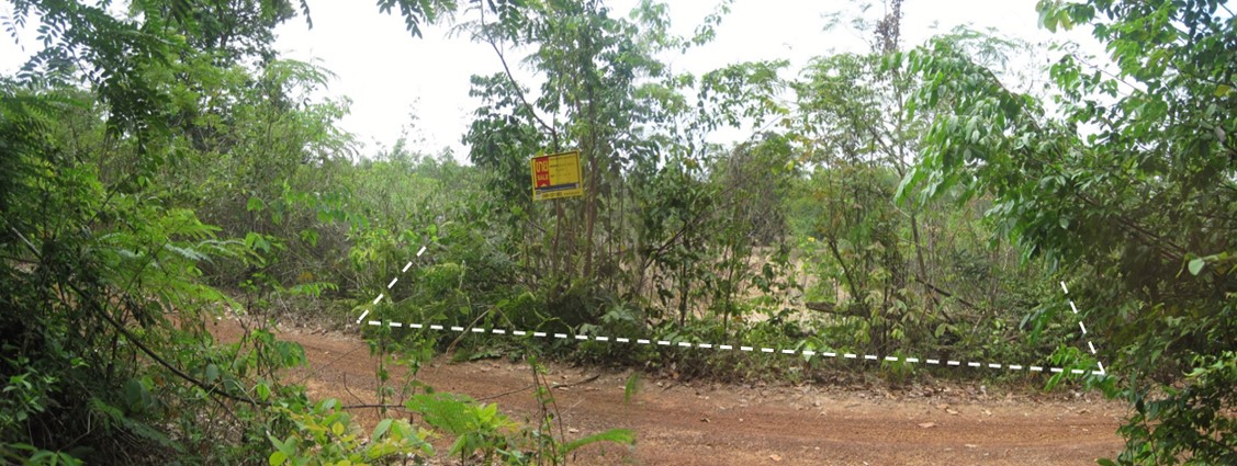 4525รูปภาพ5.jpg