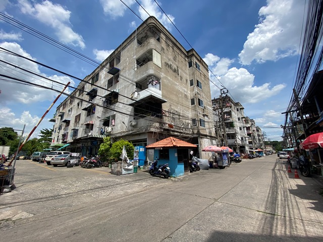IMG-6316.jpg