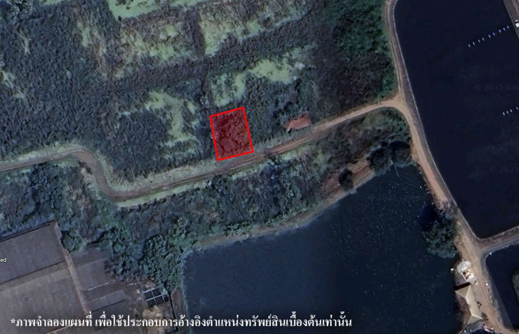 image (335).png