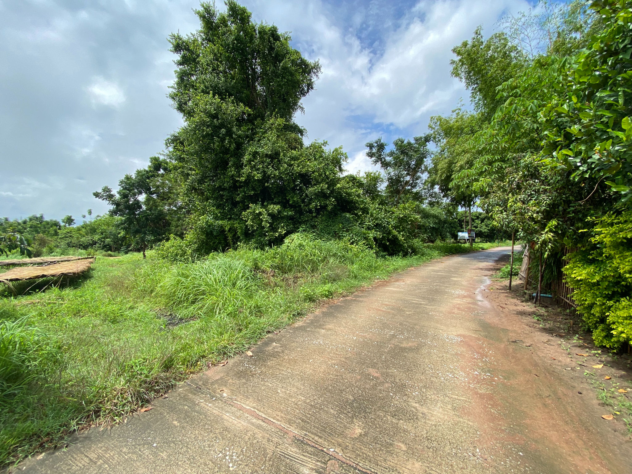 c015e1fd-35015-1.jpg