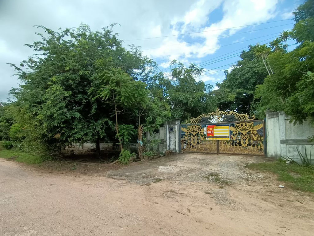 bd795bf8-OMTX3347.JPG