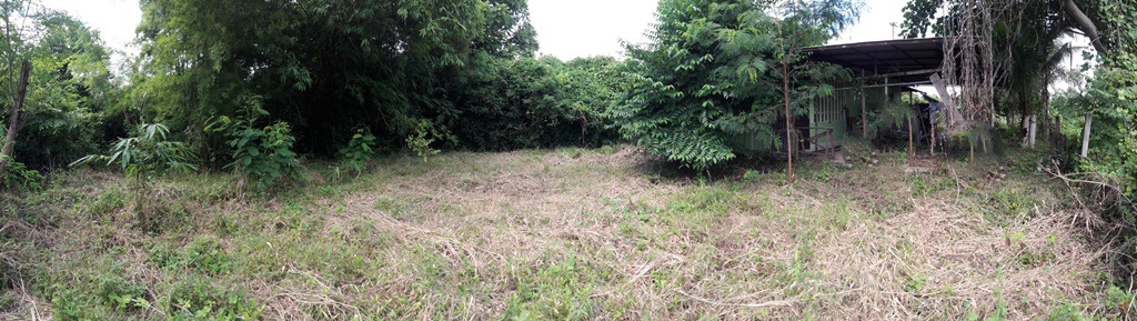 full_20201007132508.jpg