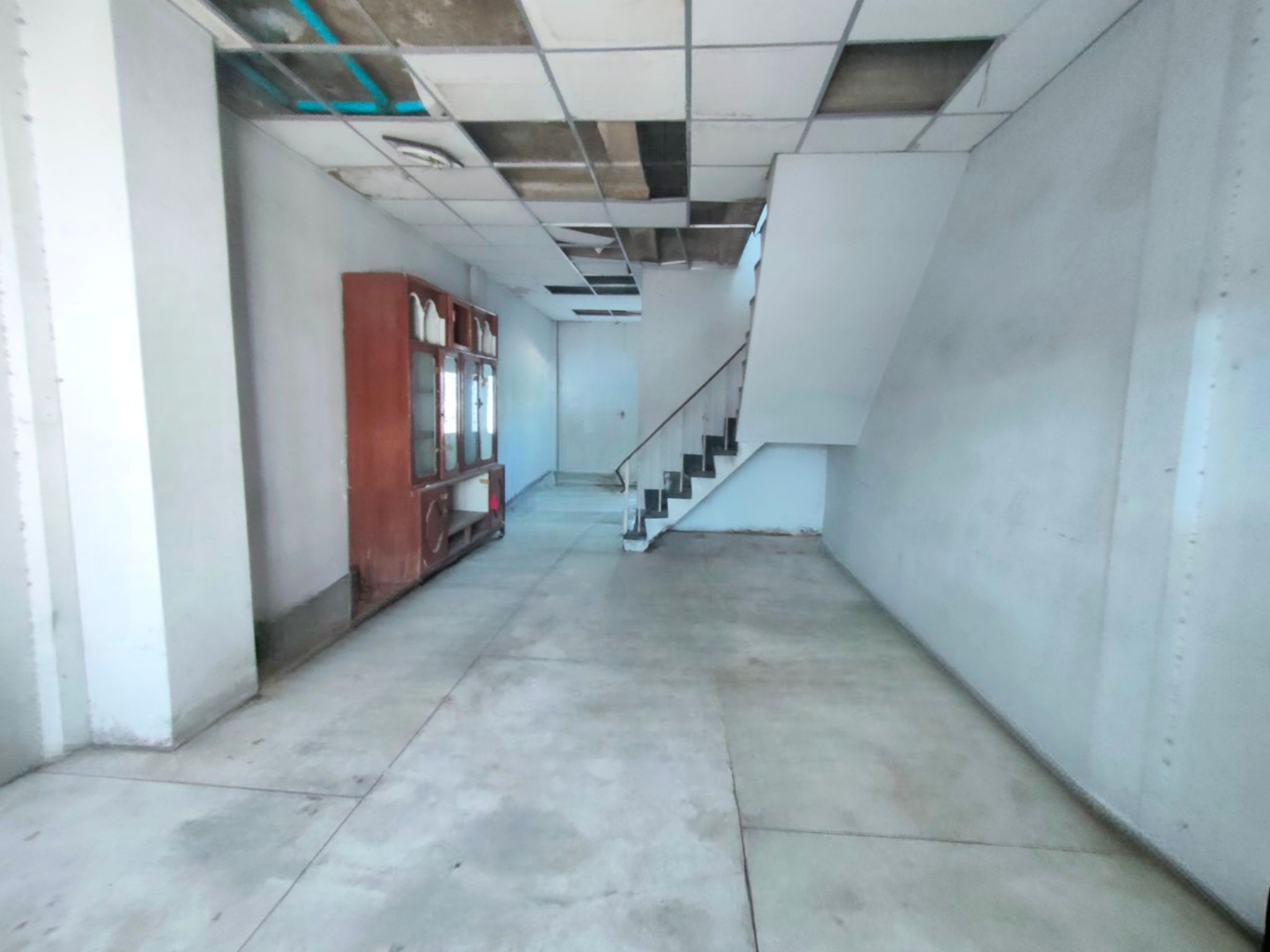 image (20).png