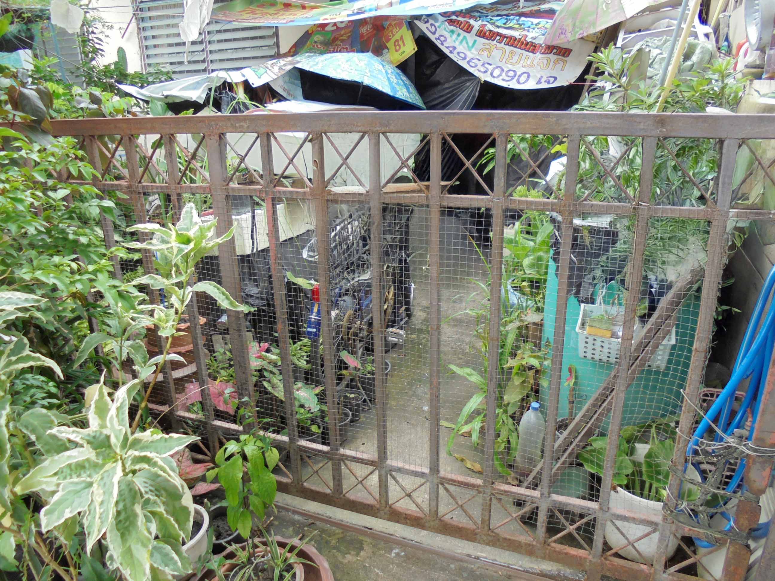 2ab68958-144658-5.jpg