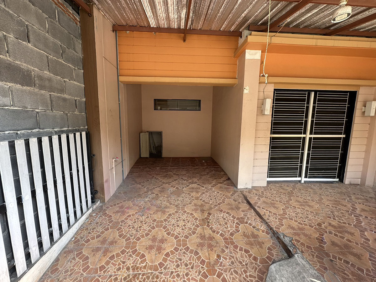d1290ca1-S__30842889.jpg
