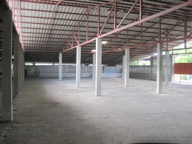 image (24).png