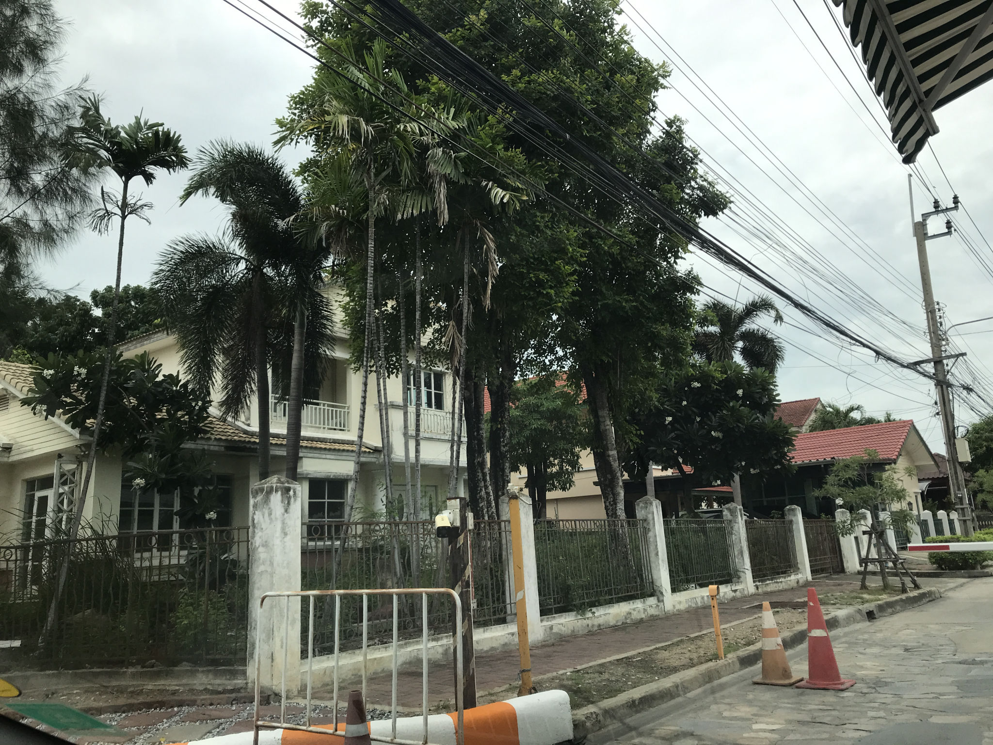 ชัยพฤกษ์ กค 67 (1).JPG