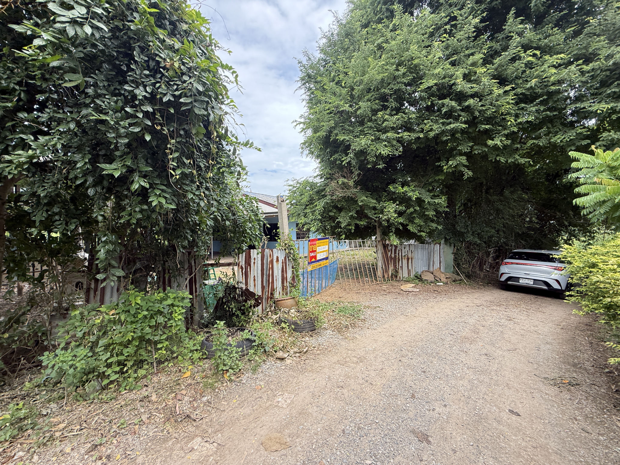 IMG_0510.JPG