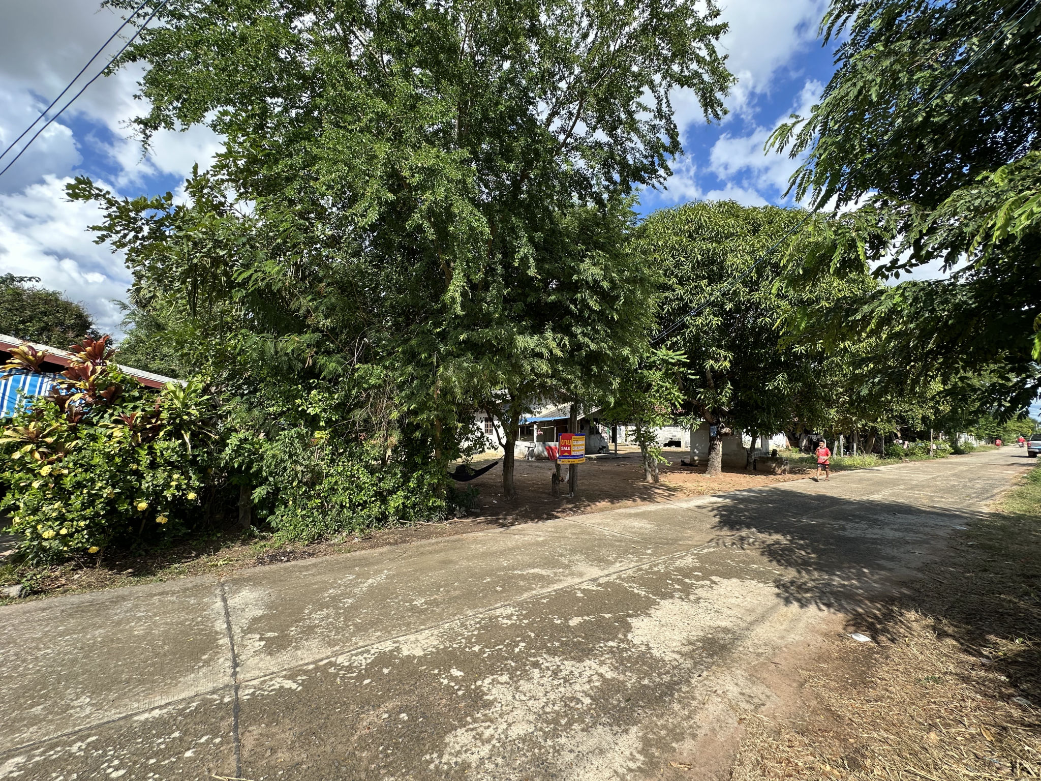 AnyConv.com__IMG_6661.jpg