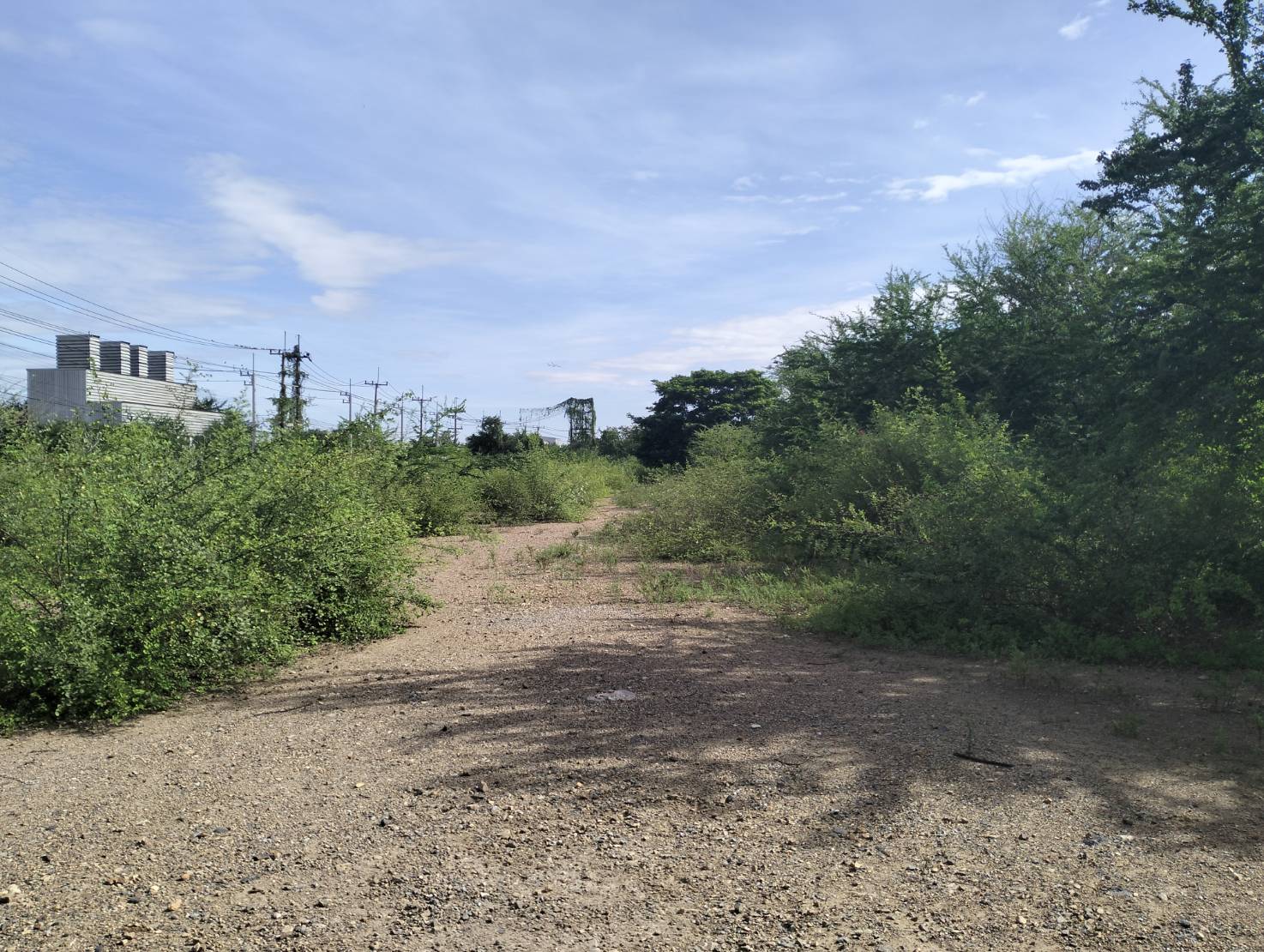 83959 - รัช ศิลารักษ์.jpg