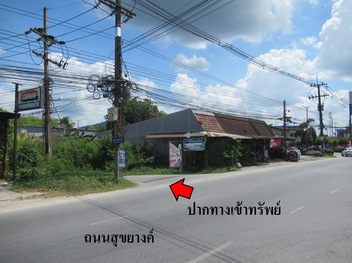 รูà¸à¸ าภ1.jpg