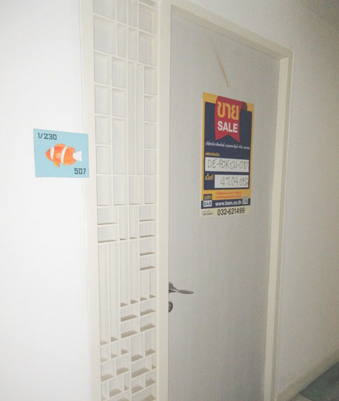 full_20200519165434.jpg