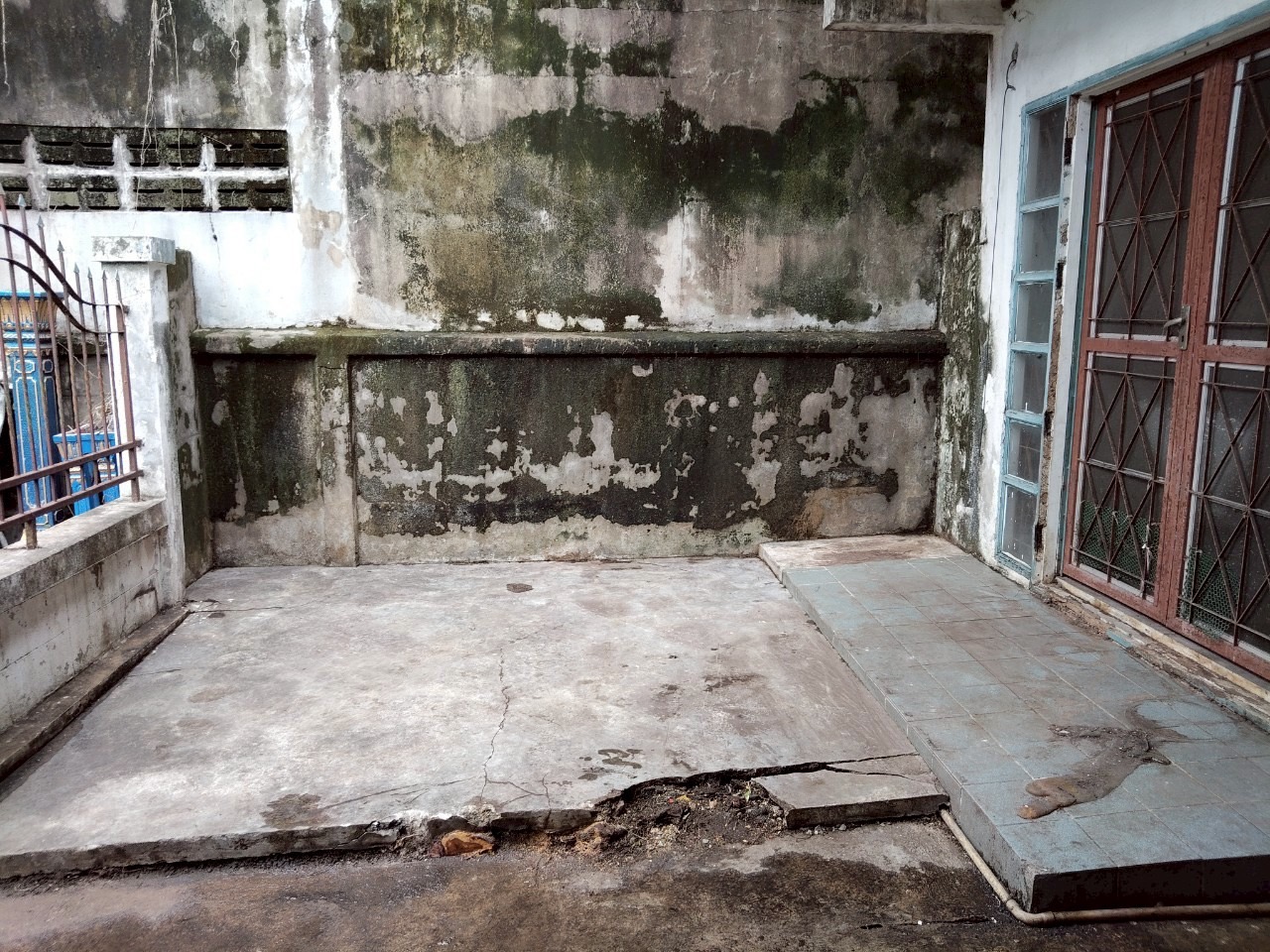 S__5243245.jpg