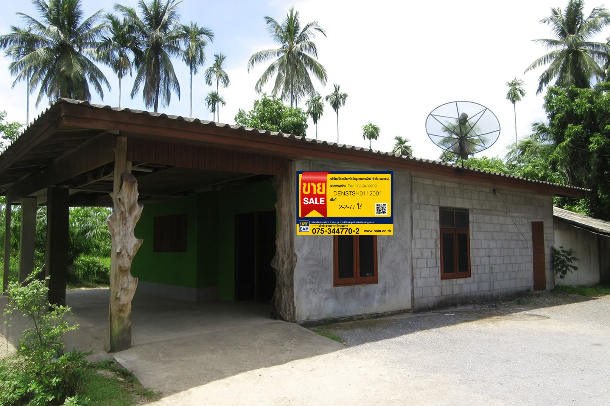 DENSTSH0112001.jpg