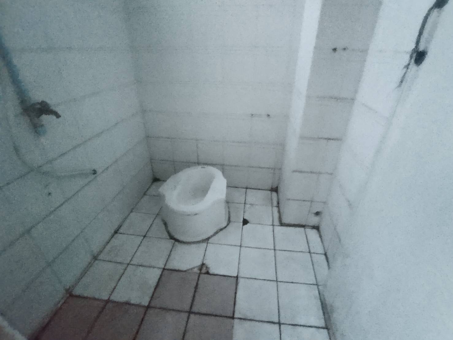 1732674005433.jpg