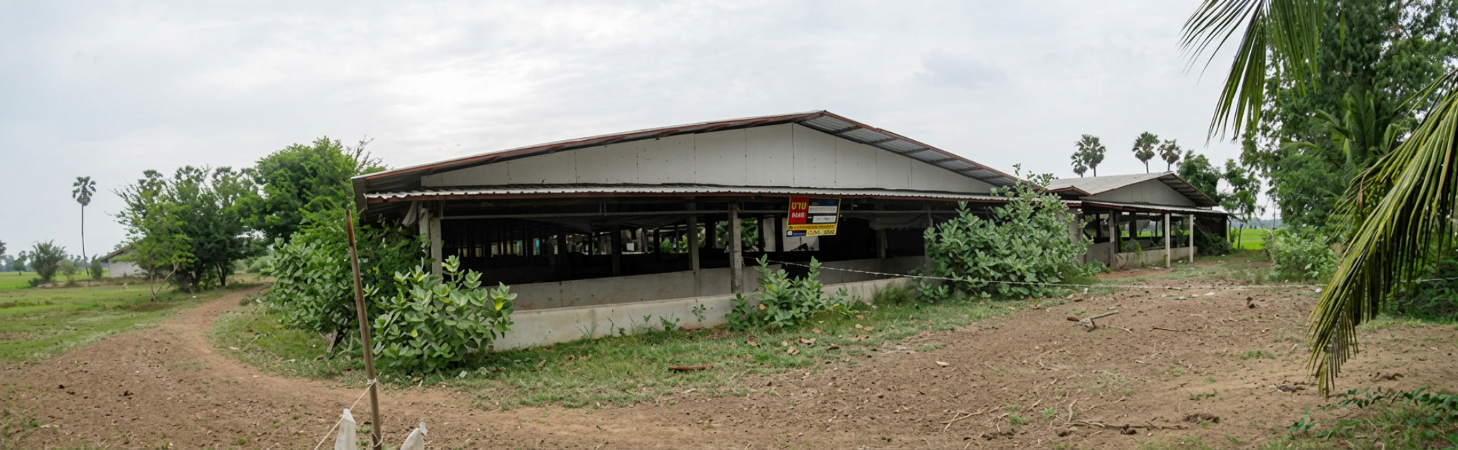 freepik_2739008319.png