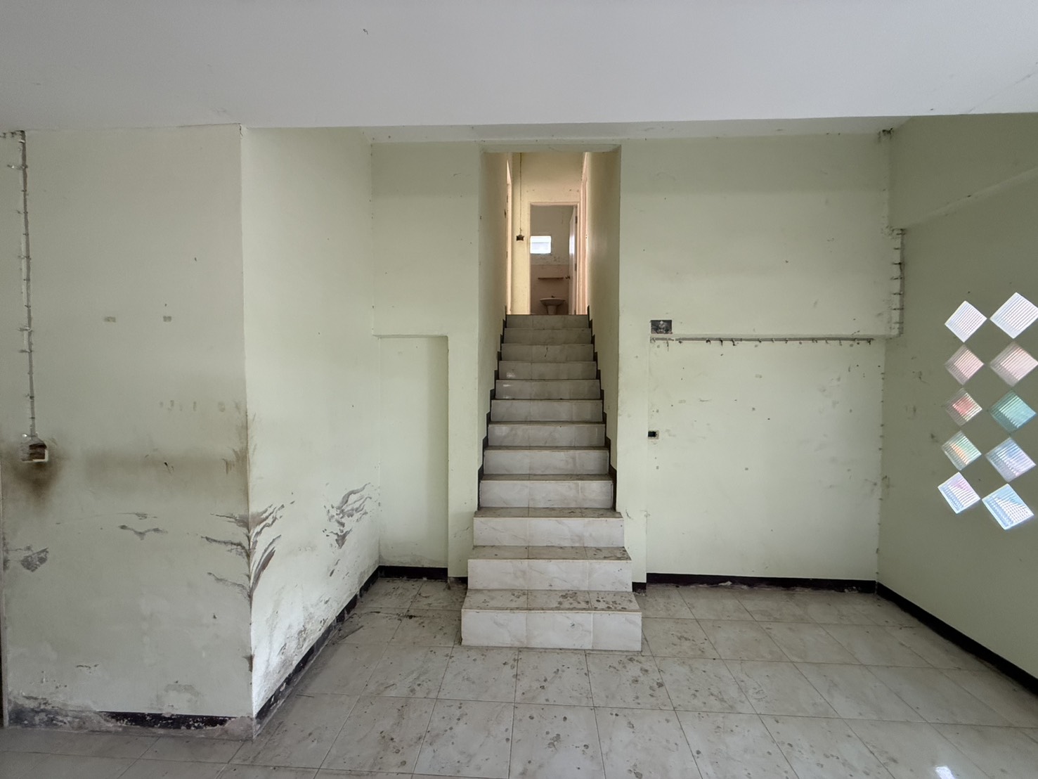 S__190529778.jpg