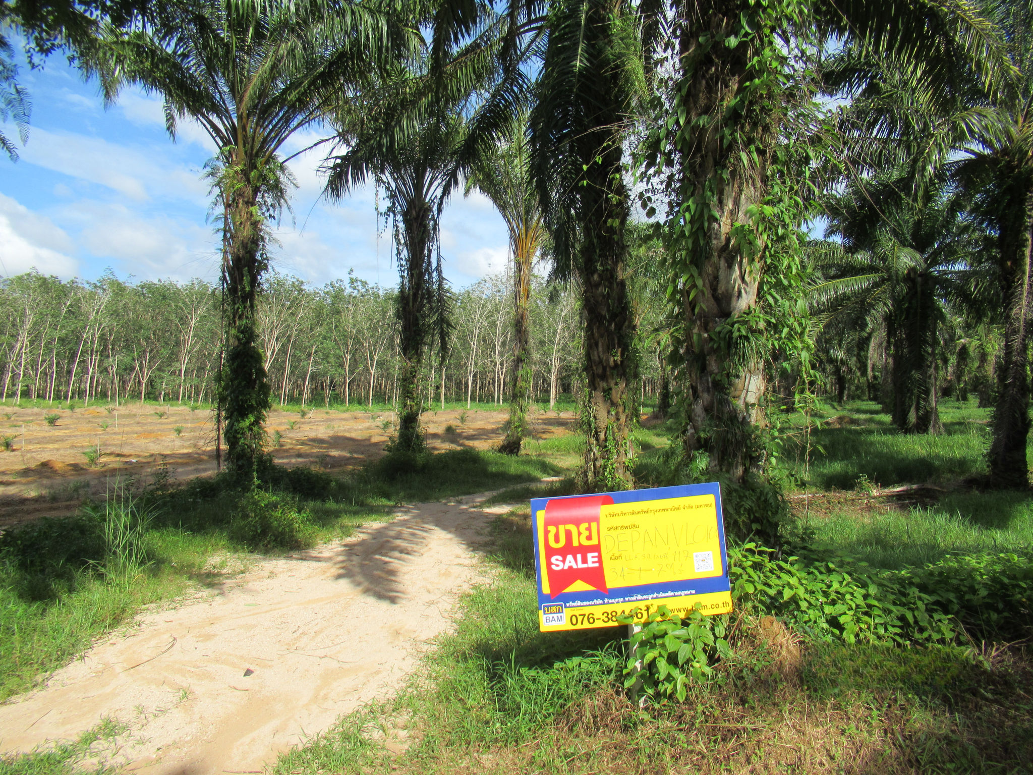 d813eb81-IMG_5676 (1).jpg