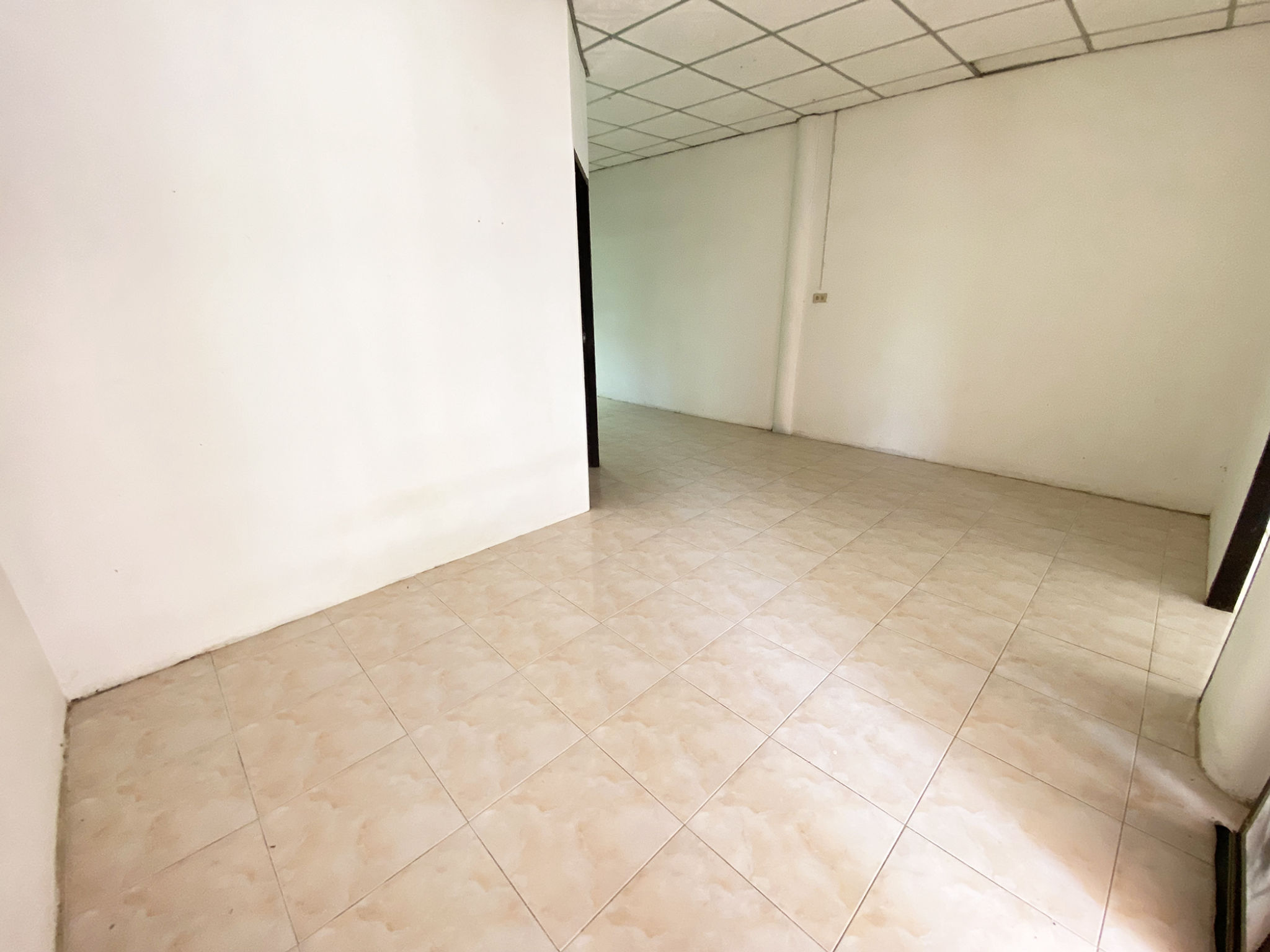 62697822-132788-10.jpg