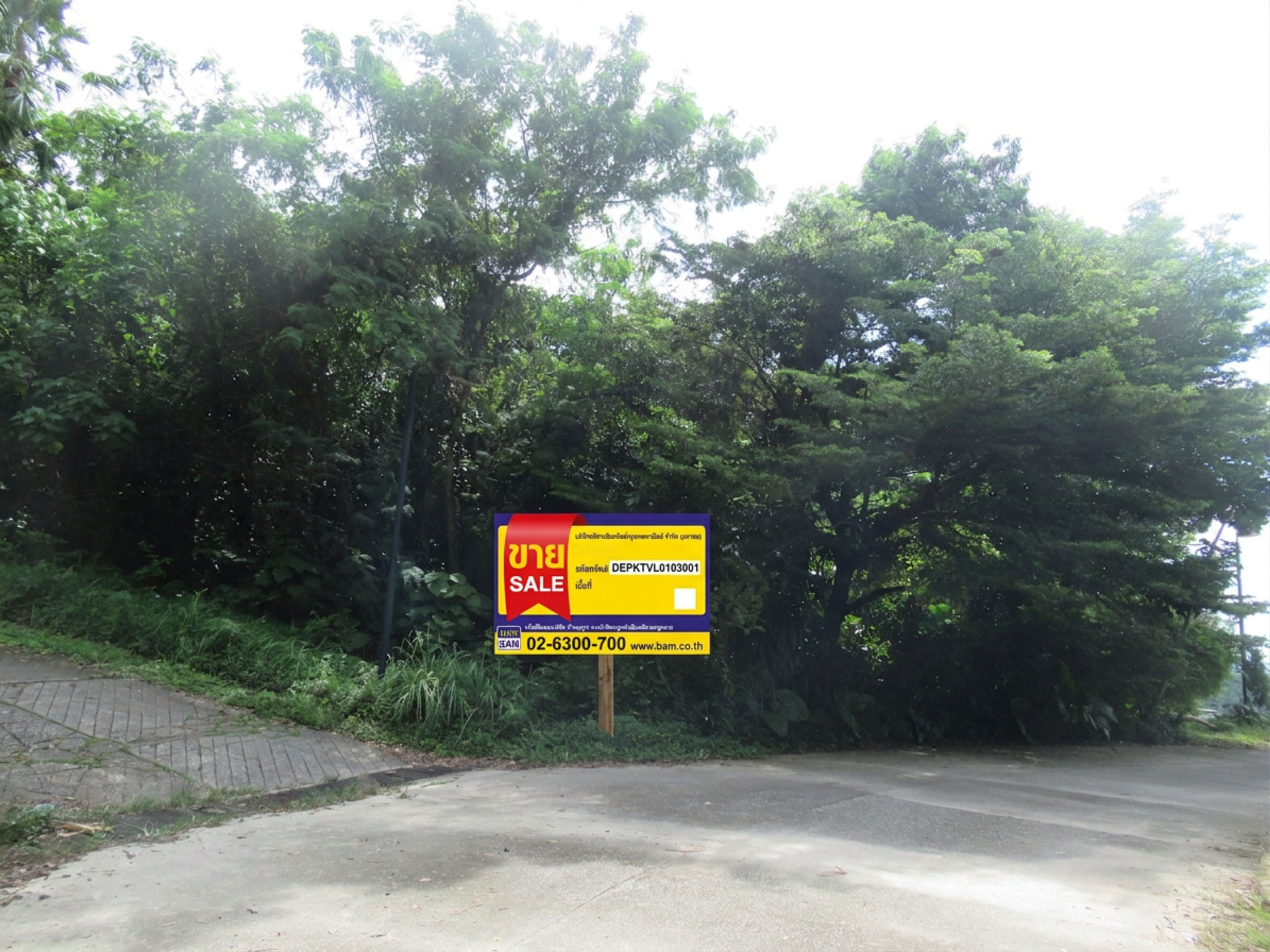 freepik_depktvl0103001_0001.png