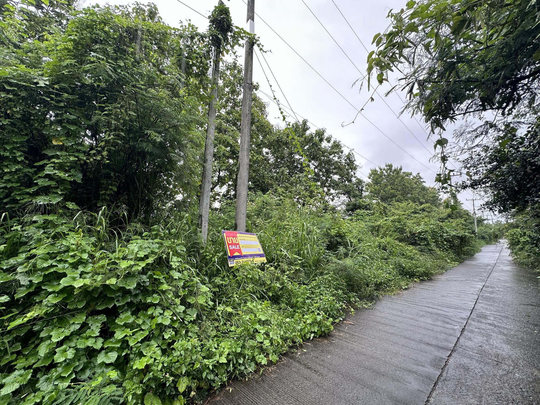 ที่ดิน น้ำบ่อหลวง  เชียงใหม่