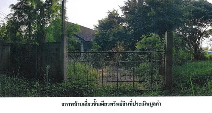 สไลด์10.JPG