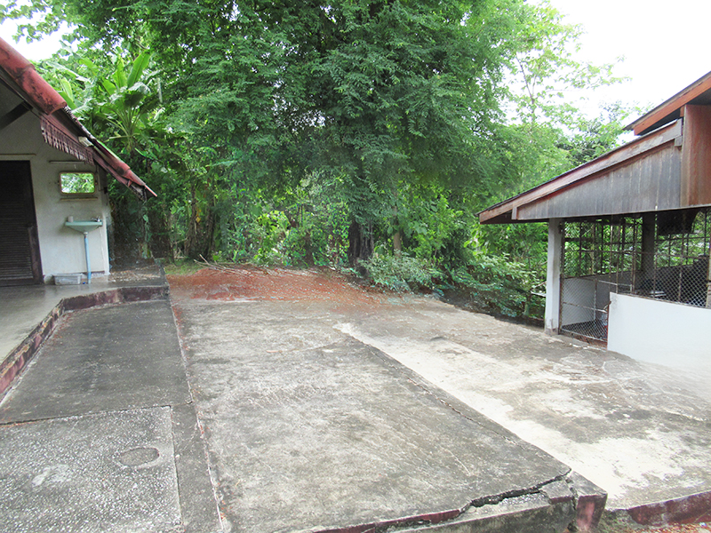 53dfa0a8-48990-3.jpg