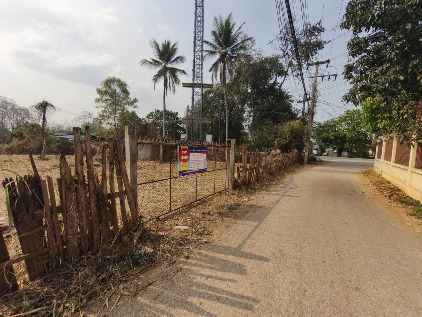 1773122313896.jpg