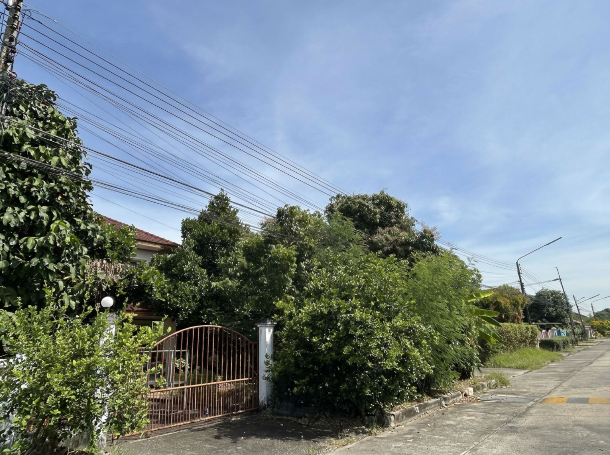 freepik__text-to-image__88194.png