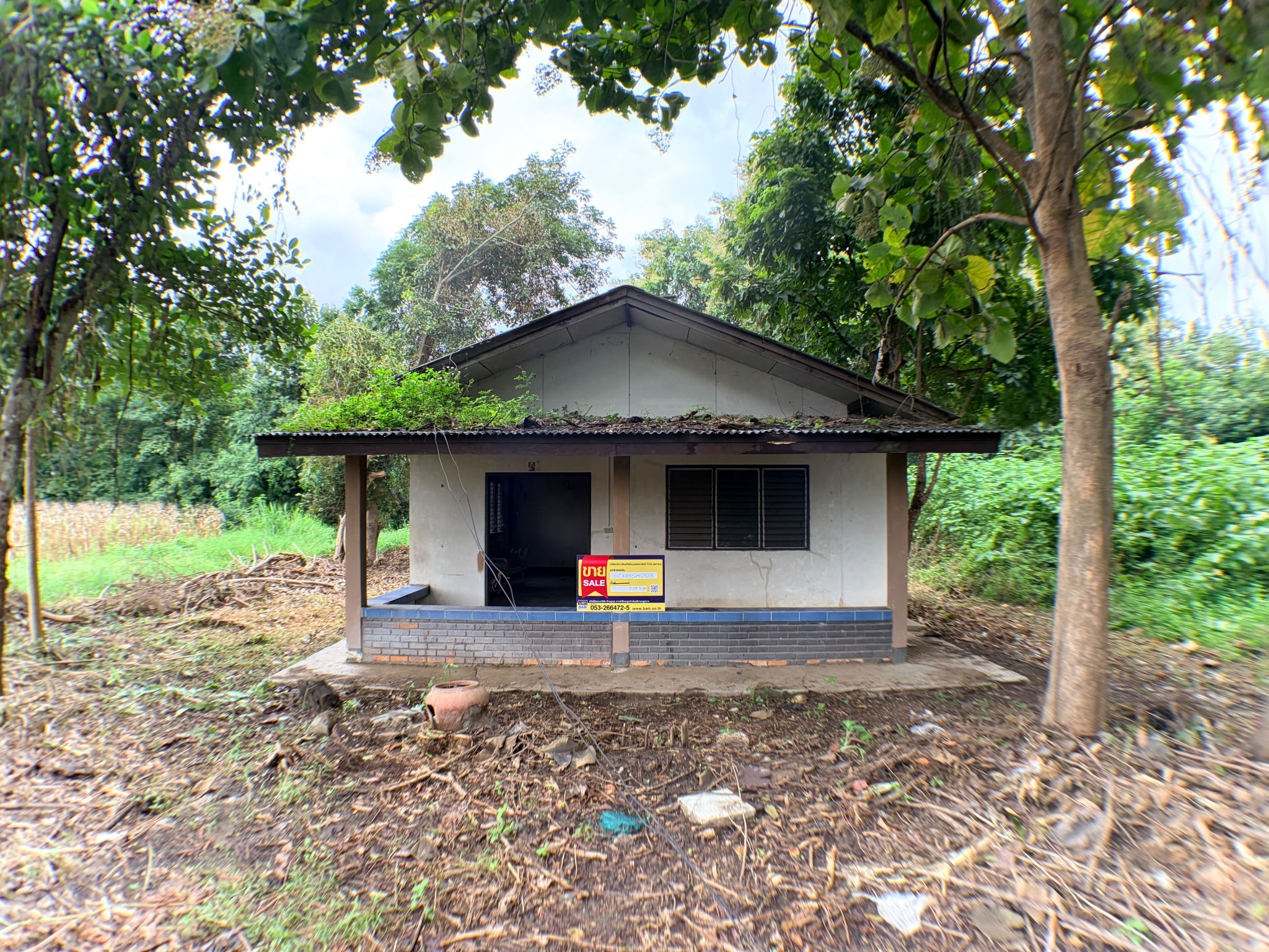 บ้านเดี่ยว   เชียงใหม่