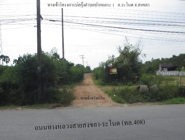 ที่ดิน ปากแตระ  สงขลา
