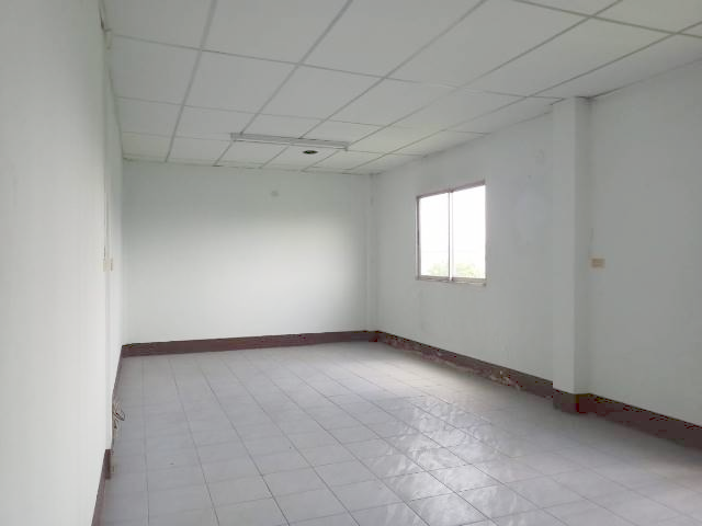 image (17).png