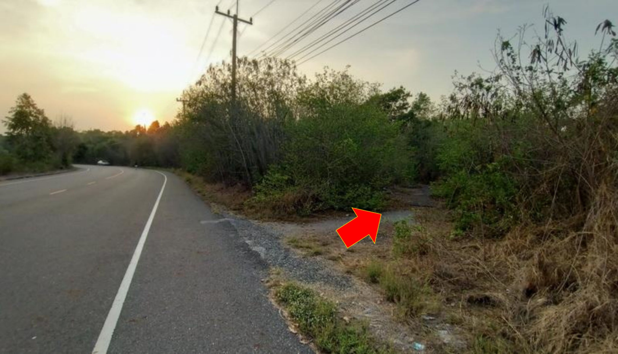 Screenshot 2026-06-11 091835.png