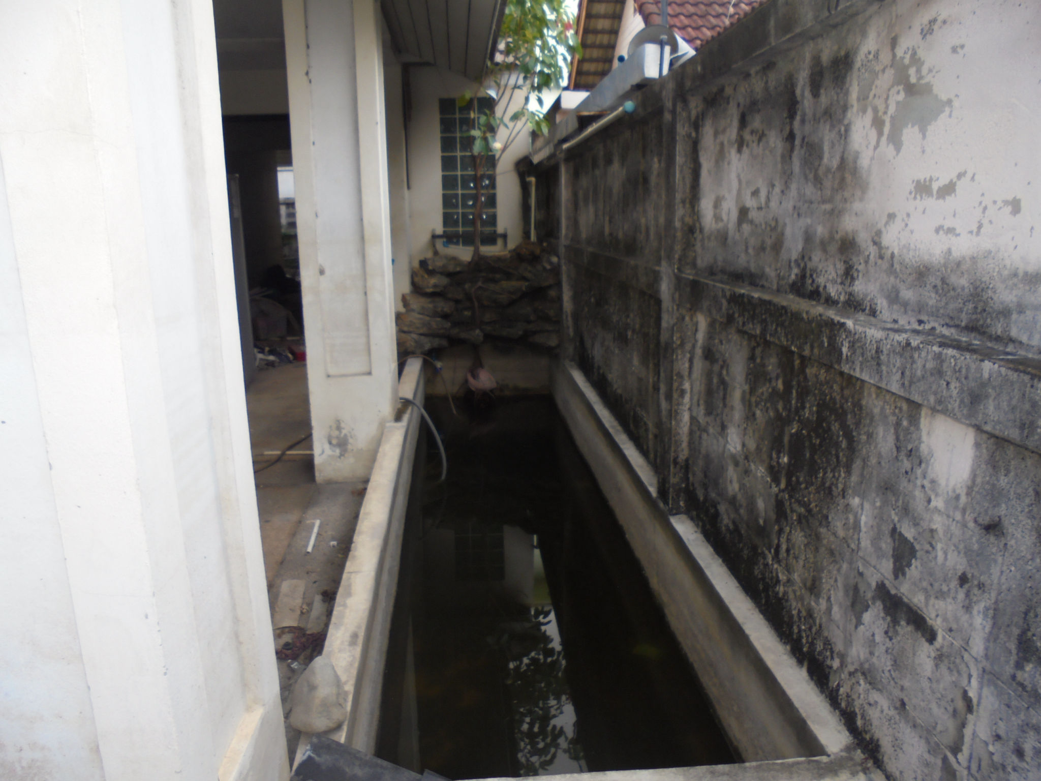DSC09224.JPG