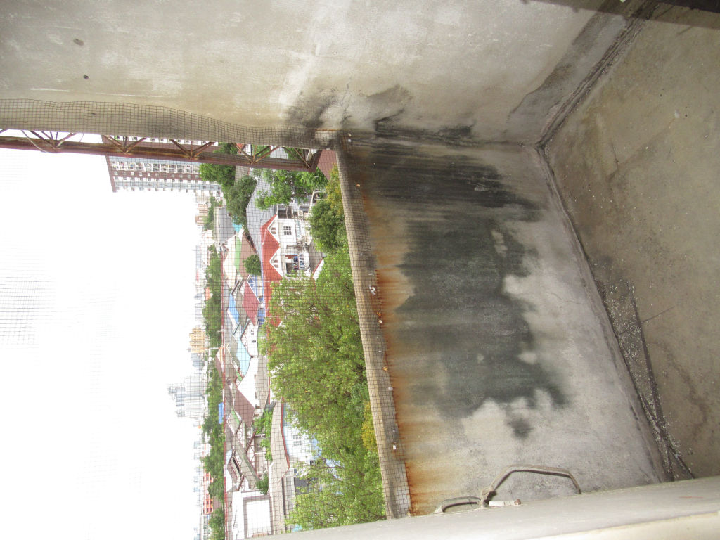 IMG_6970.JPG
