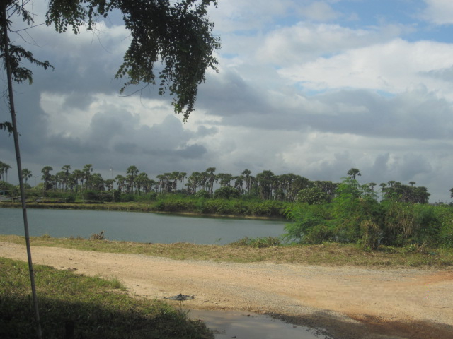 243c09de-IMG_0435.jpg
