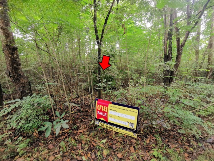 ที่ดิน บ้านหลวง จอมทอง เชียงใหม่