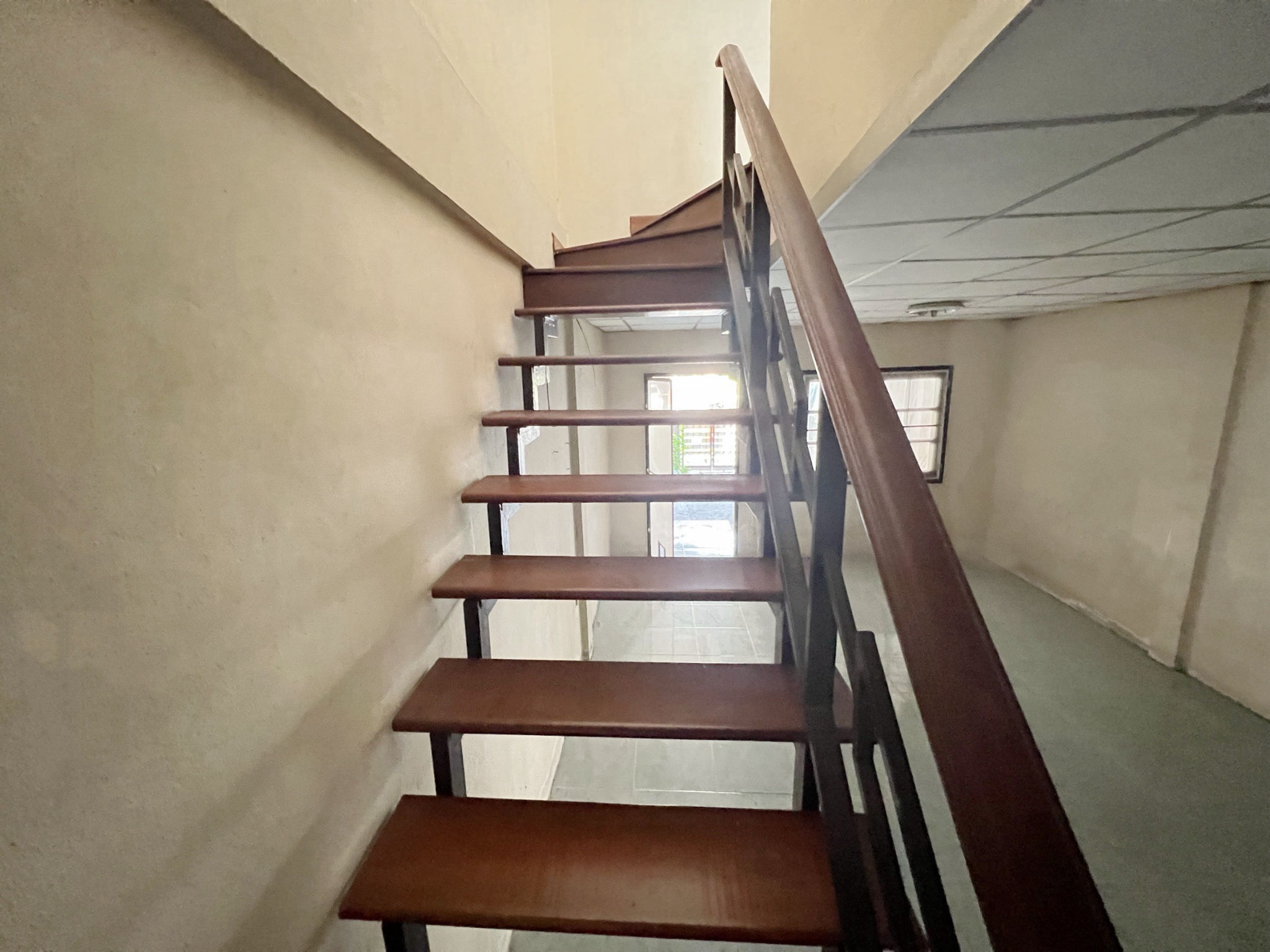 S__56164401.jpg
