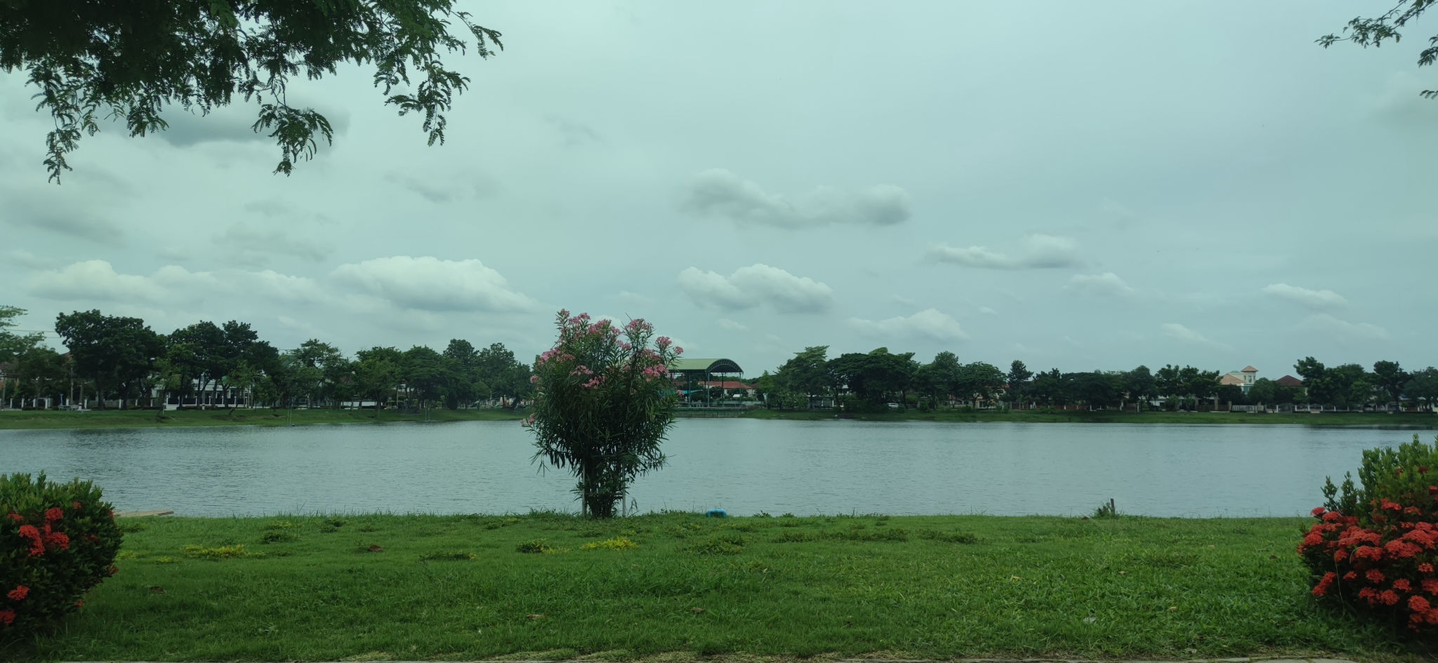IMG_20240726_123702.jpg