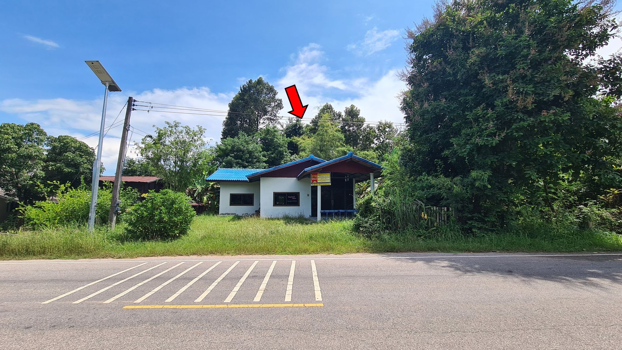 หน้าทรัพย์ 65347 3.jpg